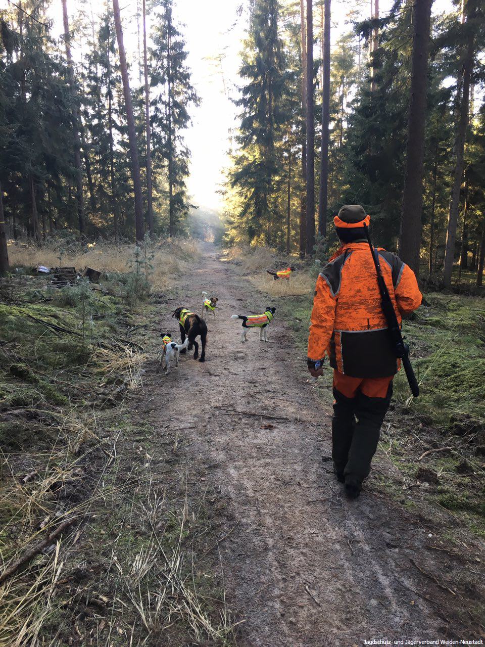 Auf geht's zum Sauen drücken mit der Meute